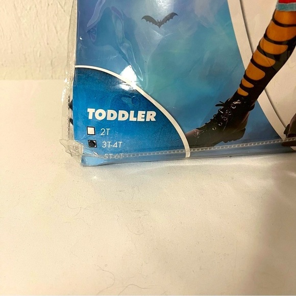 Spirit Halloween Little Girls 3T-4T Carnival Costume Set including Basket - Picture 3 of 8